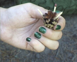 Lehmät lehmien puolelle